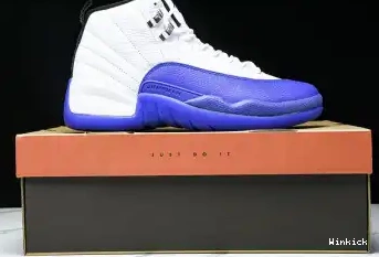 “Blueberry” CT8013-140 12 Jordan Air 0506